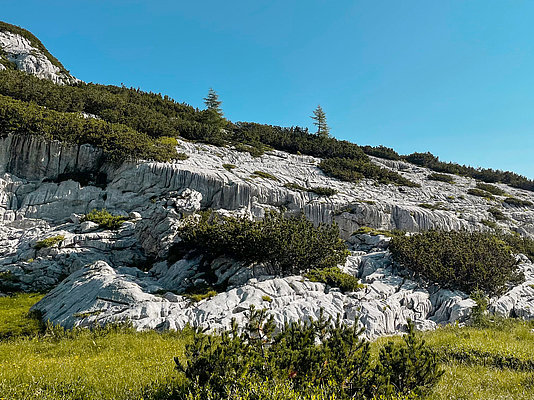 Visokogorski kras v Triglavskem narodnem parku