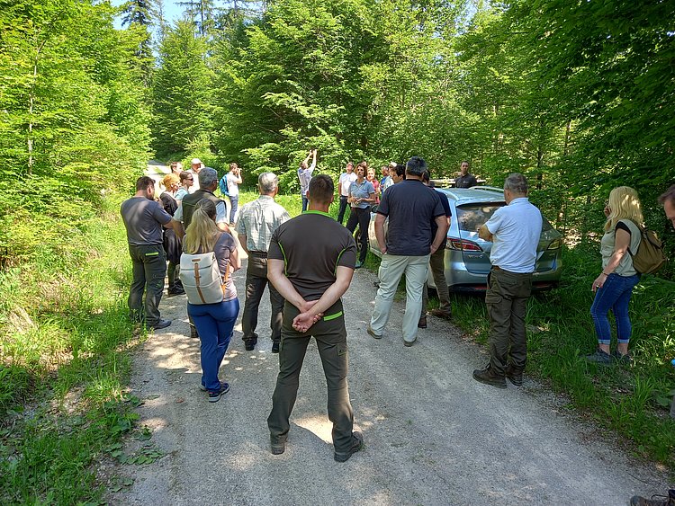 Strokovna ekskurzija o gozdarstvu in Naturi 2000 na Kočevskem