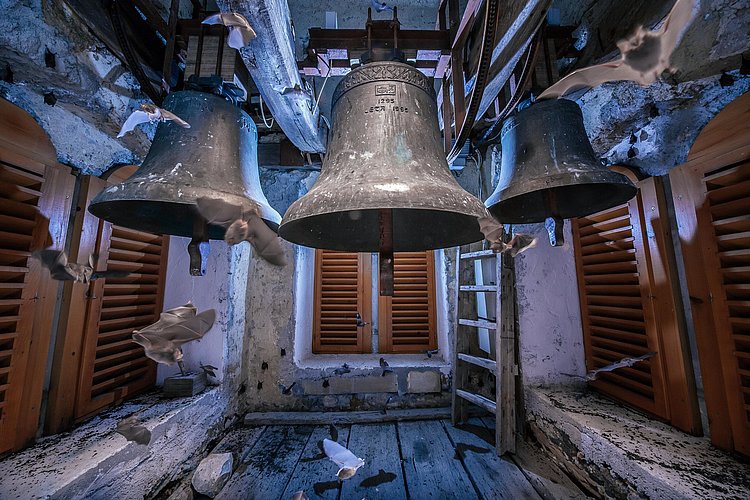 Mali podkovnjaki v zvoniku (Foto: Matej Vranič)
