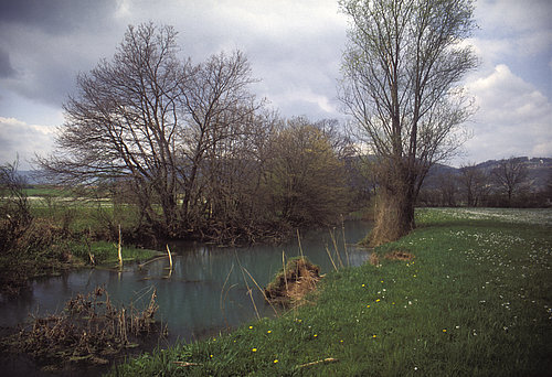 reka Temenica