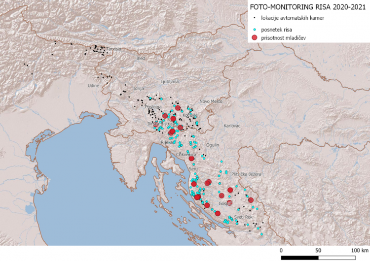 Zemljevid Slovenije in Hrvaške - zemljevid območja spremljanja risov v sezoni 2020/2021: lokacije avtomatskih kamer, lokacije, kjer so bili fotografirani odrasli risi, in lokacije z mladiči. 