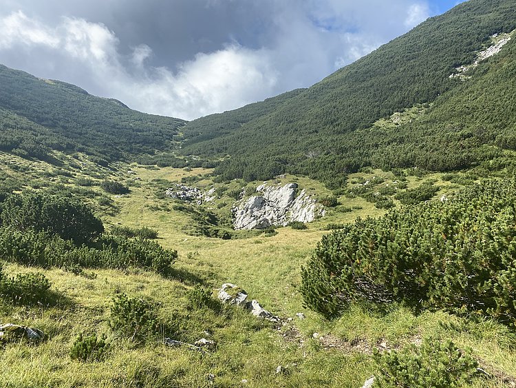 Alpski travnik na Uršlji gori pred odstranjevanjem zarasti. (Foto: Jurij Tamše, ZRSVN OE Maribor)