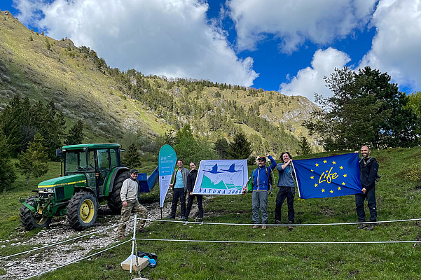 Sodelavci projekta LIFE-IP NATURA.SI so v sodelovanju s kmetovalci vzpostavili kontrolirano rastišče močvirskega mečka. (Foto: Vesna Stanić, Zavod Štirna)
