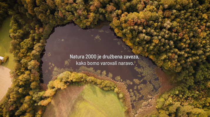 Fotografija prikazuje naravo na območju Nature 2000 v Sloveniji - izsek iz videa. 