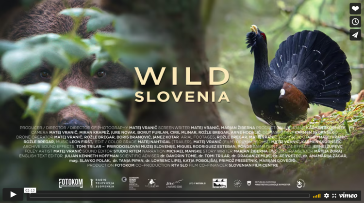 naravoslovni dokumentarni film Divja Slovenija