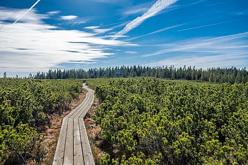lesena sprehajalna pot na Lovrenških jezerih