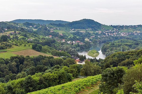 Reka Drava pri Celestrini. (Foto: Arhiv projekta LIFE-IP NATURA.SI)