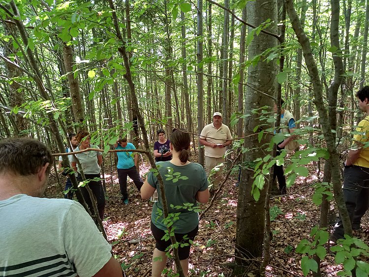 Strokovna ekskurzija o gozdarstvu in Naturi 2000 na Kočevskem