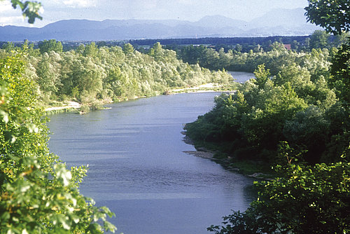 pogled na reko Dravo