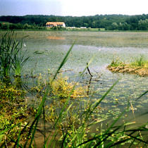 Naravna evtrofna jezera