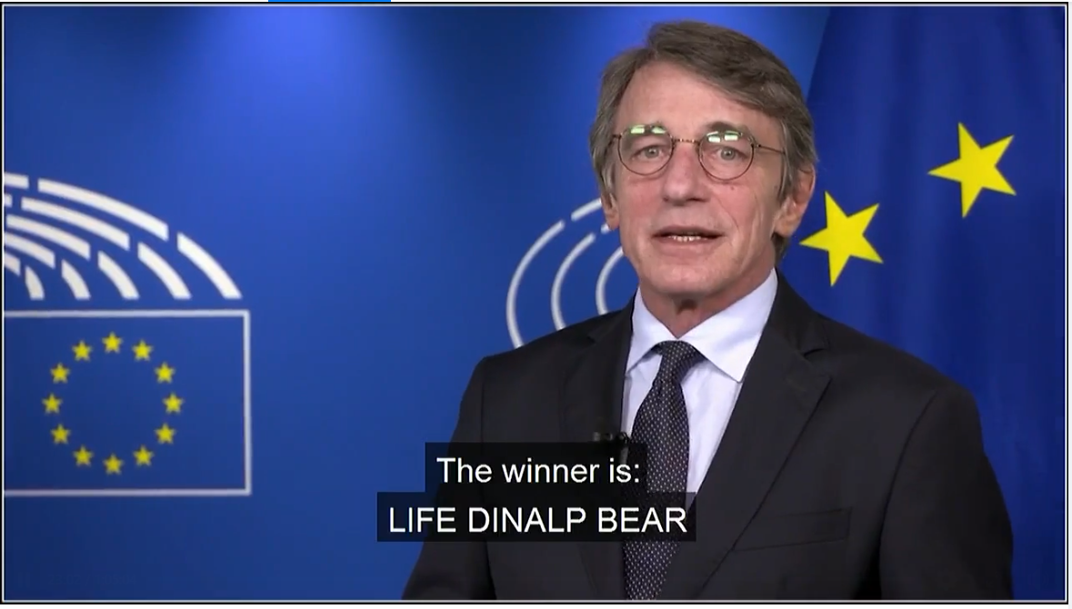 Slika ekrana ob razglasitvi zmagovalca. Na sliki je predsednik Evropskega parlamenta David-Maria Sassoli je razglasil zmagovalca, pod njim podnapis: The winner is: LIFE DINALP BEAR.